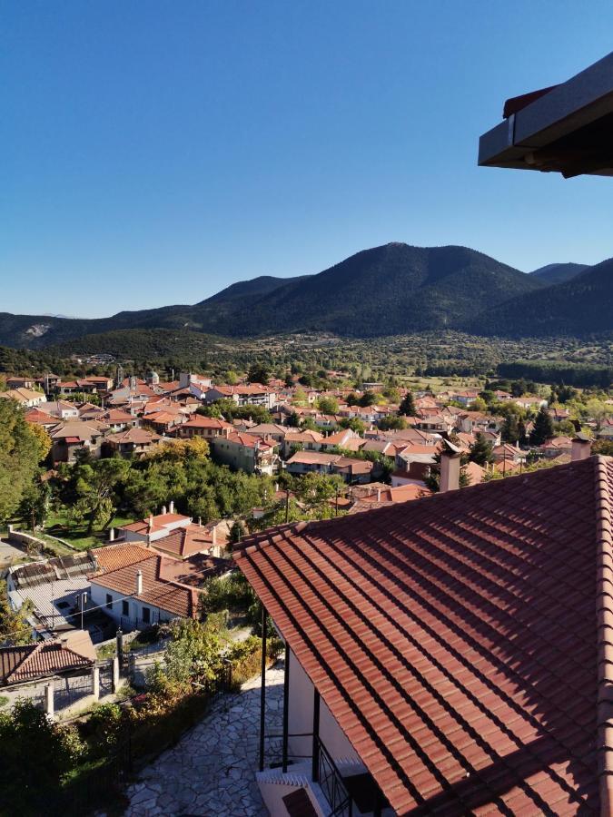 Guesthouse Panorama Vitina Bagian luar foto