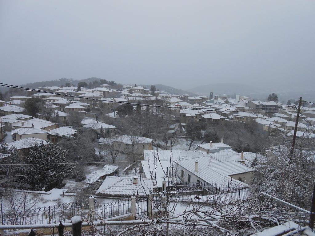 Guesthouse Panorama Vitina Bagian luar foto