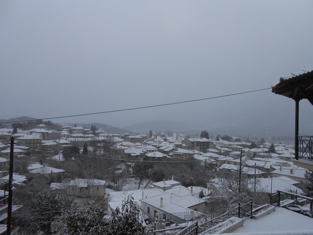 Guesthouse Panorama Vitina Bagian luar foto
